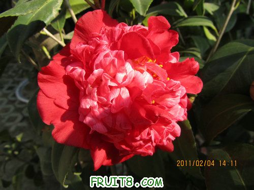 IMG_0380.JPG