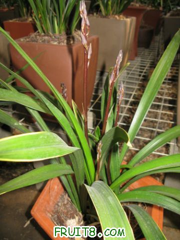 IMG_7149.JPG