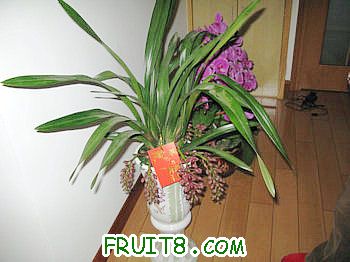 IMG_7329.JPG