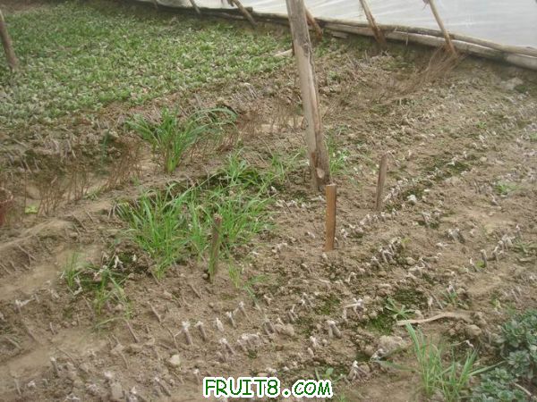 Resize of DSC05085.JPG