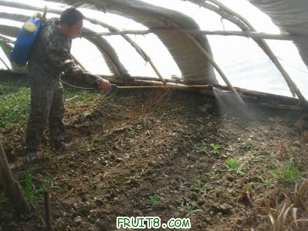 Resize of DSC05148.JPG