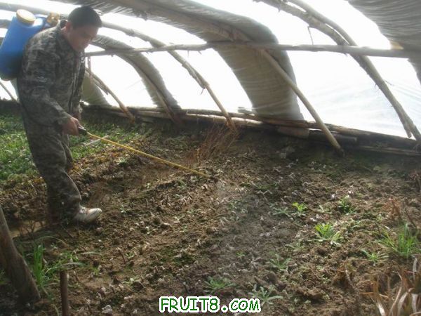 Resize of DSC05150.JPG