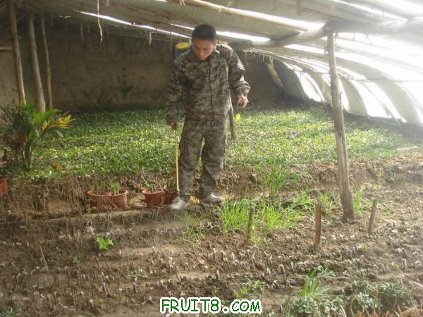 Resize of DSC05142.JPG