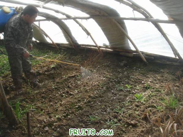 Resize of DSC05147.JPG