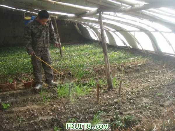 Resize of DSC05143.JPG