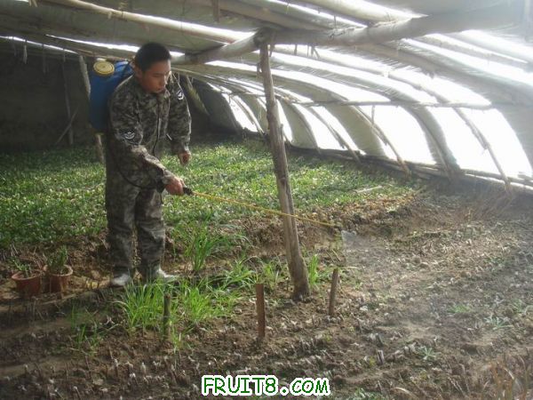 Resize of DSC05145.JPG