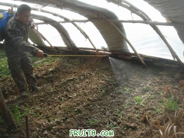 Resize of DSC05149.JPG