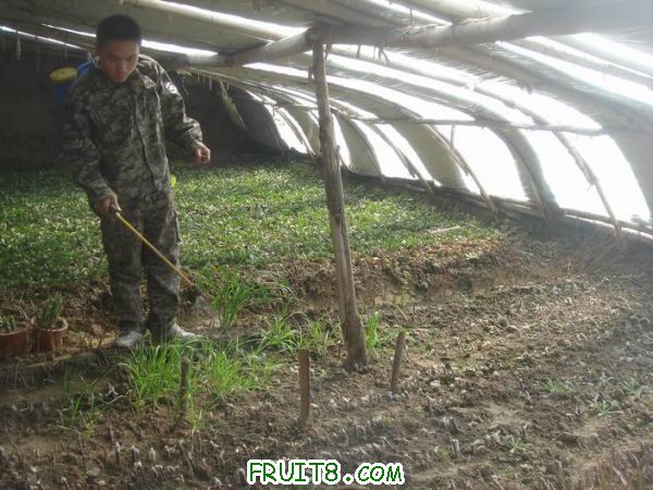 Resize of DSC05144.JPG