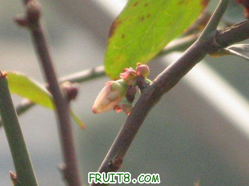 IMG_7781.JPG