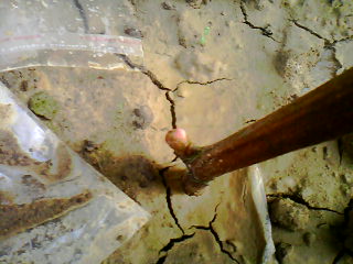 20110210_0802_1.jpg