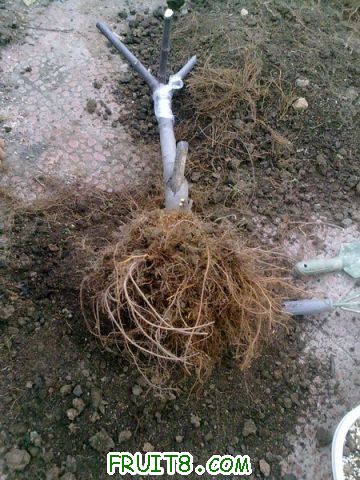 201102091692.jpg