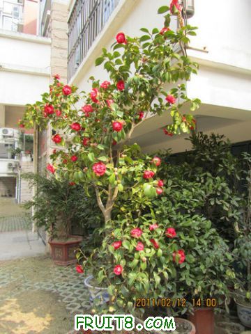 IMG_1083.JPG