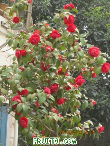 IMG_1209.JPG