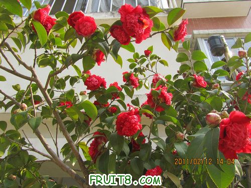 IMG_1110.JPG