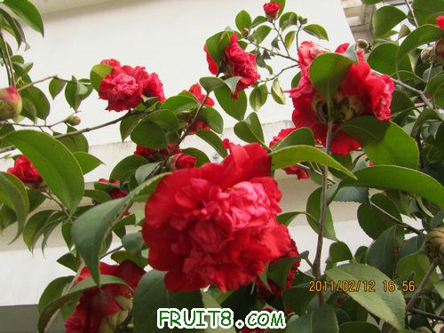 IMG_1192.JPG
