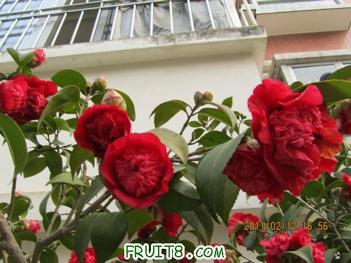 IMG_1193.JPG