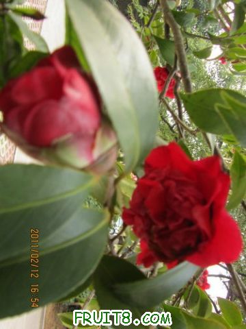 IMG_1179.JPG