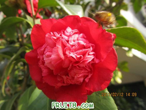 IMG_1147.JPG