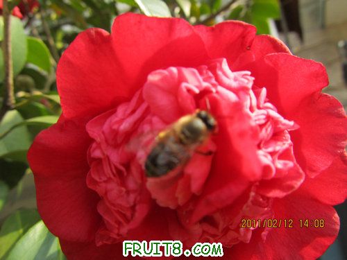 IMG_1140.JPG