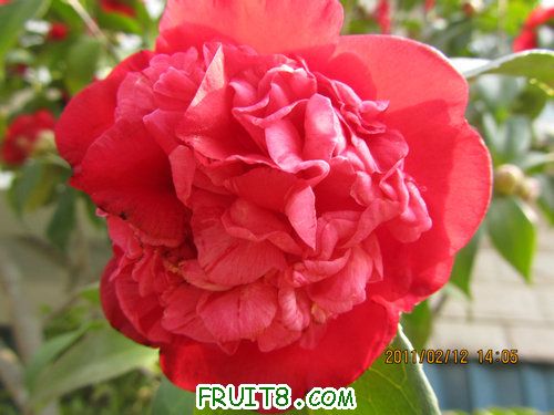 IMG_1119.JPG