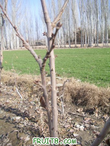 DSCI0230.JPG