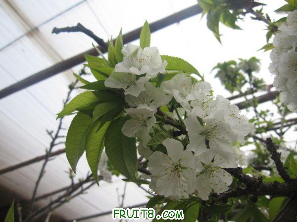 ��ӣ�ҵĻ���