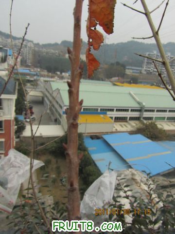 14.JPG
