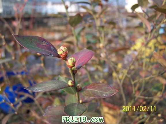 100_1215.JPG
