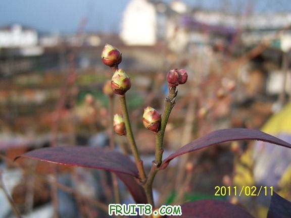 100_1219.JPG