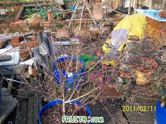 100_1218.JPG