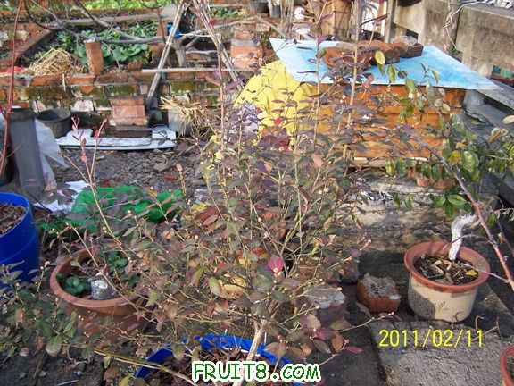 100_1214.JPG