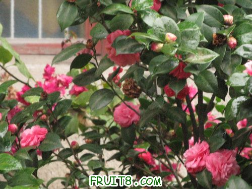 IMG_8994.JPG