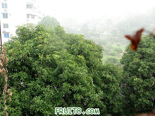 IMG_9085.JPG