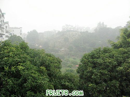 IMG_9087.JPG