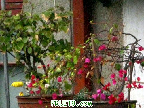 IMG_9058.JPG