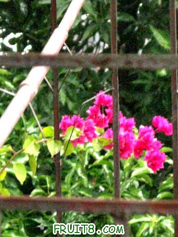 IMG_9043.JPG