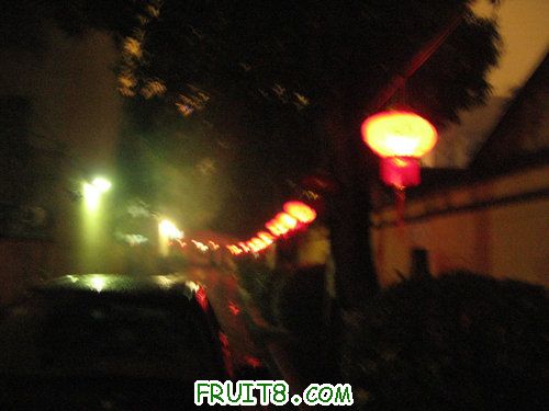 IMG_9100.JPG
