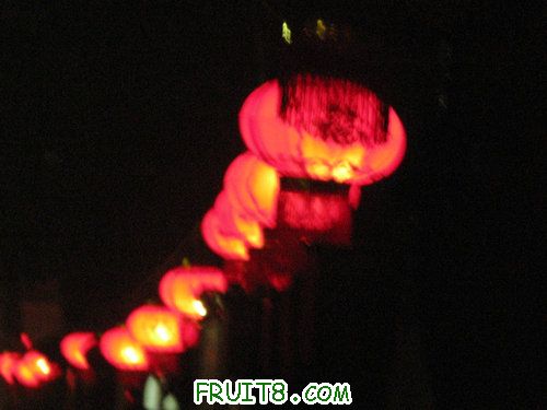 IMG_9104.JPG
