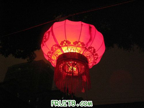 IMG_9101.JPG
