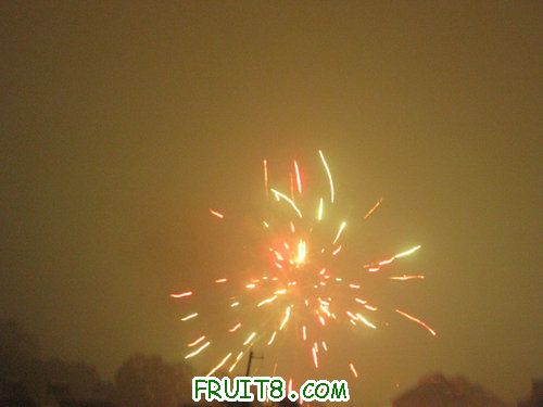 IMG_9240.JPG