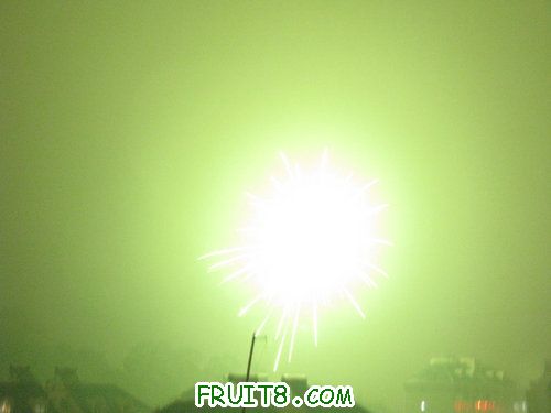 IMG_9234.JPG