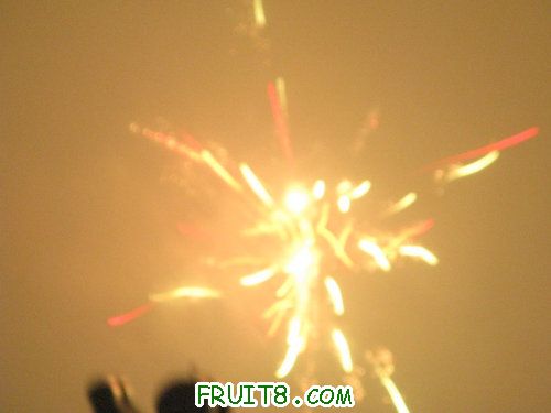 IMG_9226.JPG