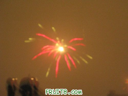 IMG_9202.JPG