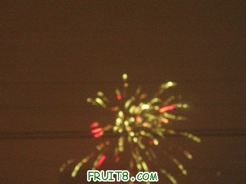 IMG_9169.JPG