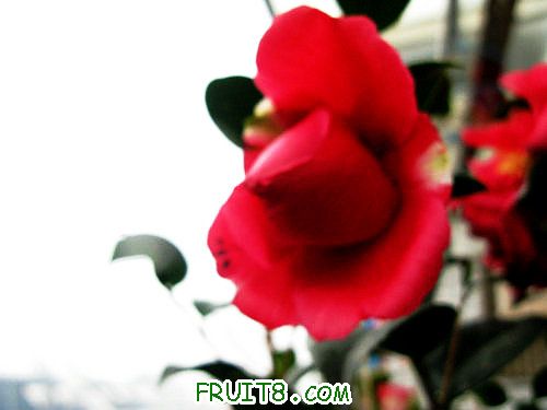 IMG_8818.JPG