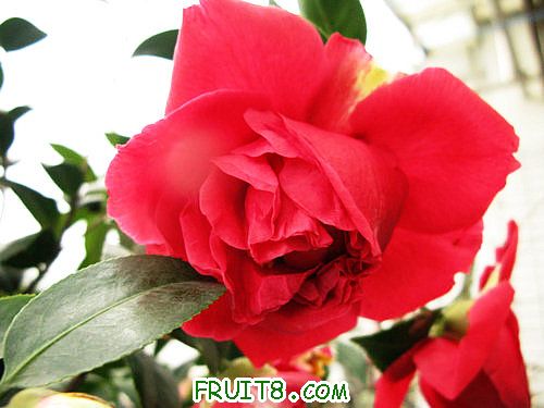 IMG_8840.JPG