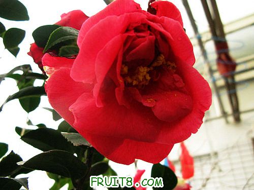 IMG_8848.JPG
