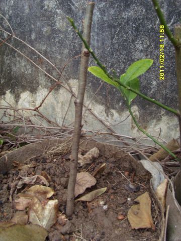 SI850540.JPG