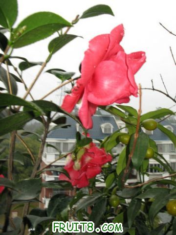 IMG_9357.JPG
