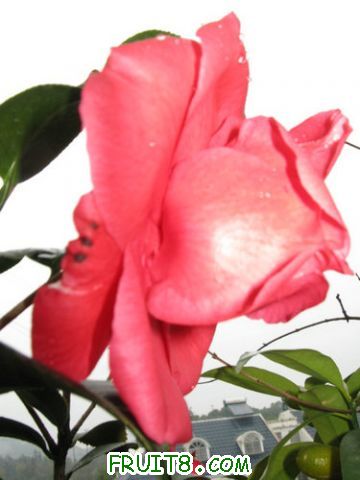 IMG_9360.JPG